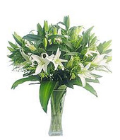 Fairy tales-China Flower Delivery Shop