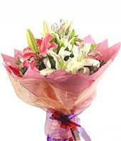 Expressing Feelings-China Flower Delivery Shop