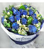 19 Blue Roses