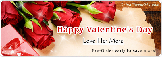 Send Valentine`s Day Flowers,Gifts,Cakes to China