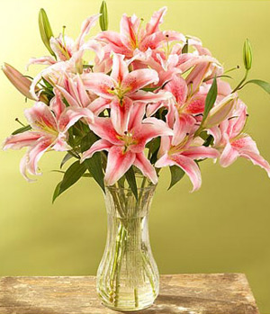 9 Pink Lilies