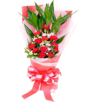 Mother love - Chinese online florist