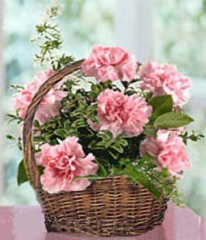 Carnations basket for mother