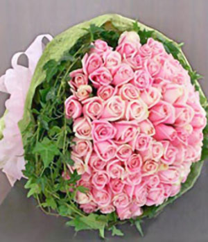 99 pink roses
