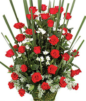 33 red roses
