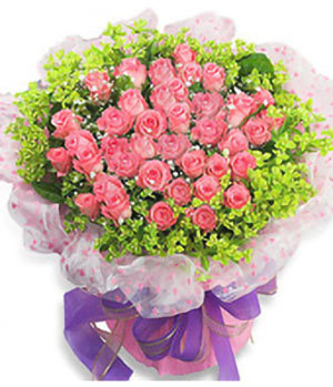 33 pink roses