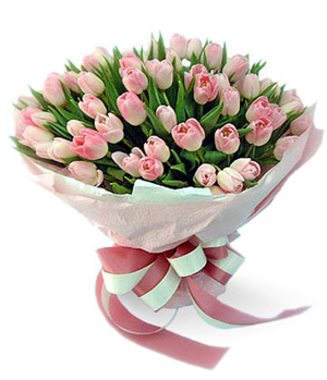 50 Pink Tulips