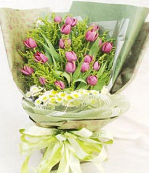 19 Purple Tulips
