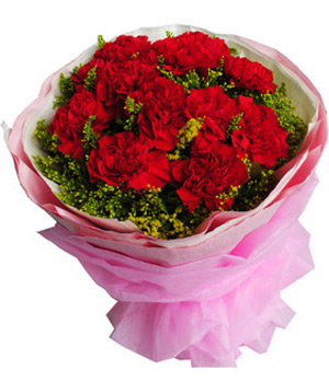 11 Red Carnations