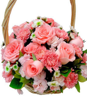 Carnations Basket