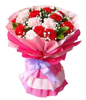 Send Flowers China - Carnation for mother