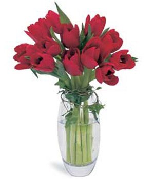 12 Stems Red Tulips