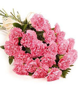 Twelve Pink Carnations(Red or Mixed)