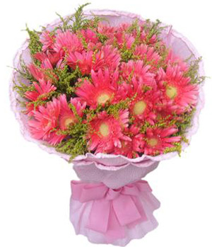 pink gerbera bouquet