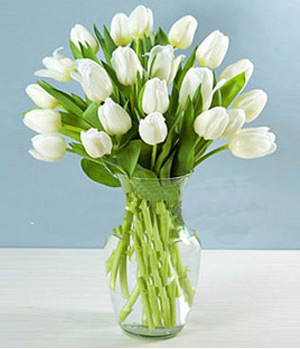 19 white tulips in a vase 