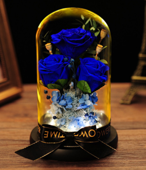 Preserved Flowers - Happy Couple